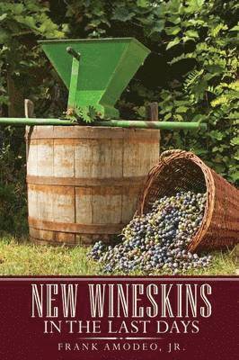 bokomslag New Wineskins In The Last Days