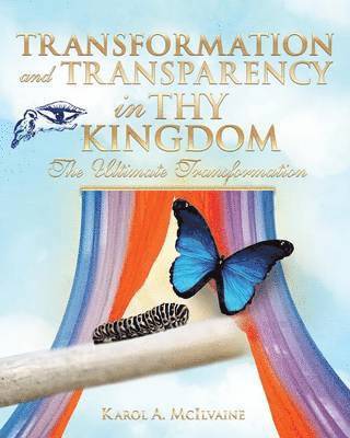 bokomslag Transformation and Transparency in Thy Kingdom