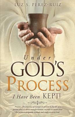 bokomslag Under God's Process