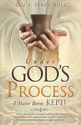 Luz S Perez-Ruiz, Luz S. Perez-Ruiz, LUZ S. PEREZ-RUIZ - Under God's Process, Häftad