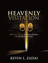bokomslag Heavenly Visitation
