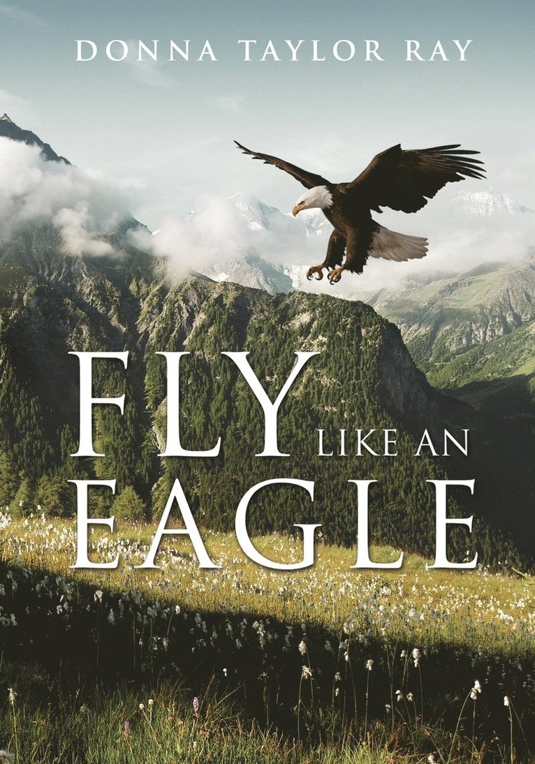 Fly Like an Eagle 1