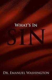 bokomslag What's in Sin