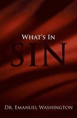 bokomslag What's in Sin