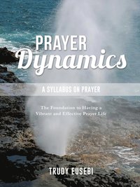 bokomslag Prayer Dynamics