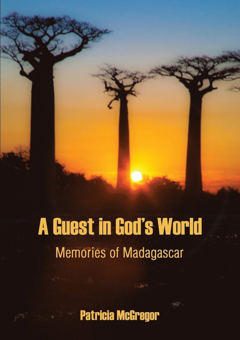 Patricia McGregor - Guest in God's World, Häftad
