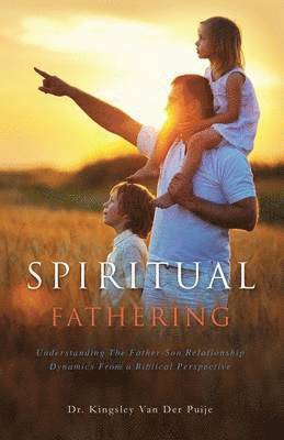 bokomslag Spiritual Fathering