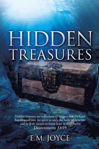 bokomslag Hidden Treasures