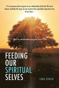 bokomslag Feeding Our Spiritual Selves