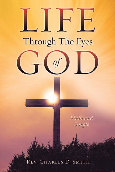 bokomslag Life Through The Eyes of God