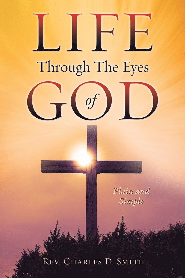 Life Through The Eyes of God 1