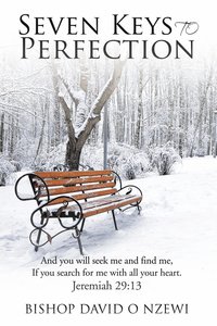 bokomslag Seven Keys to Perfection
