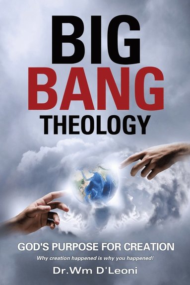 bokomslag Big Bang Theology