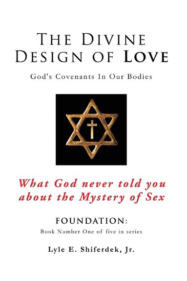 bokomslag Divine Design of Love