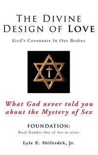 bokomslag Divine Design of Love