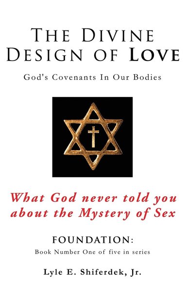 bokomslag Divine Design of Love