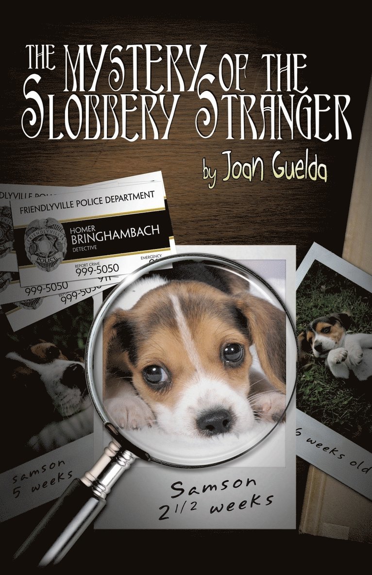 Mystery of the Slobbery Stranger 1