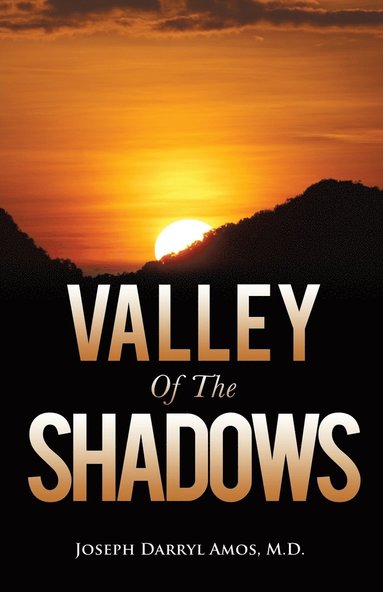 bokomslag Valley Of The Shadows