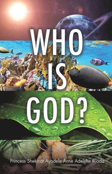 bokomslag Who Is God?