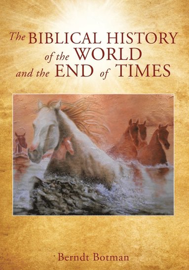 bokomslag The Biblical history of the world and the end of times