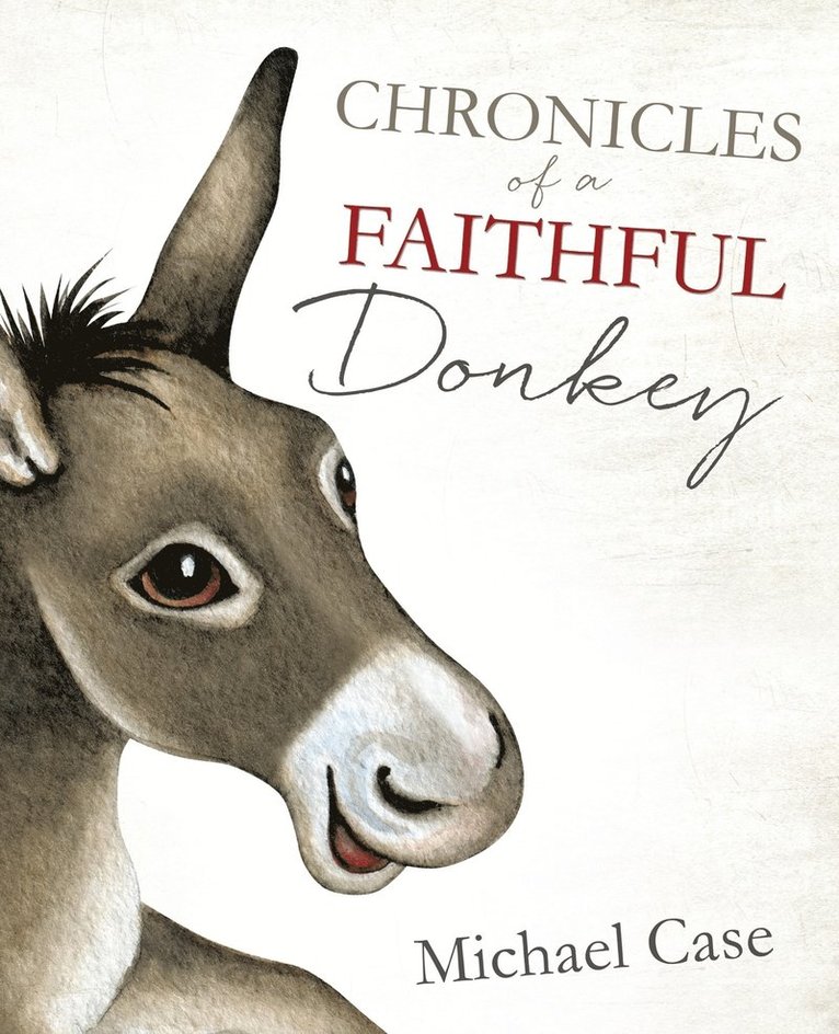 Chronicles of A Faithful Donkey 1