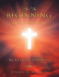 bokomslag In The Beginning John Chapter One