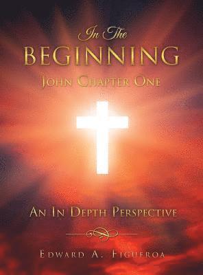 bokomslag In The Beginning John Chapter One