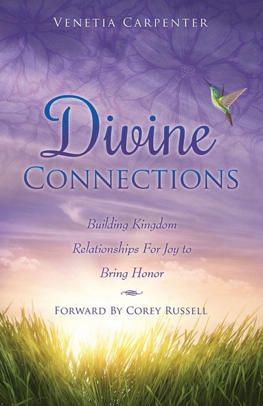 bokomslag Divine Connections