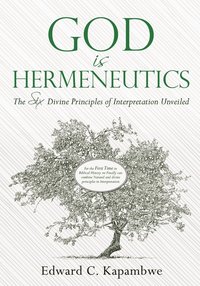bokomslag God is Hermeneutics