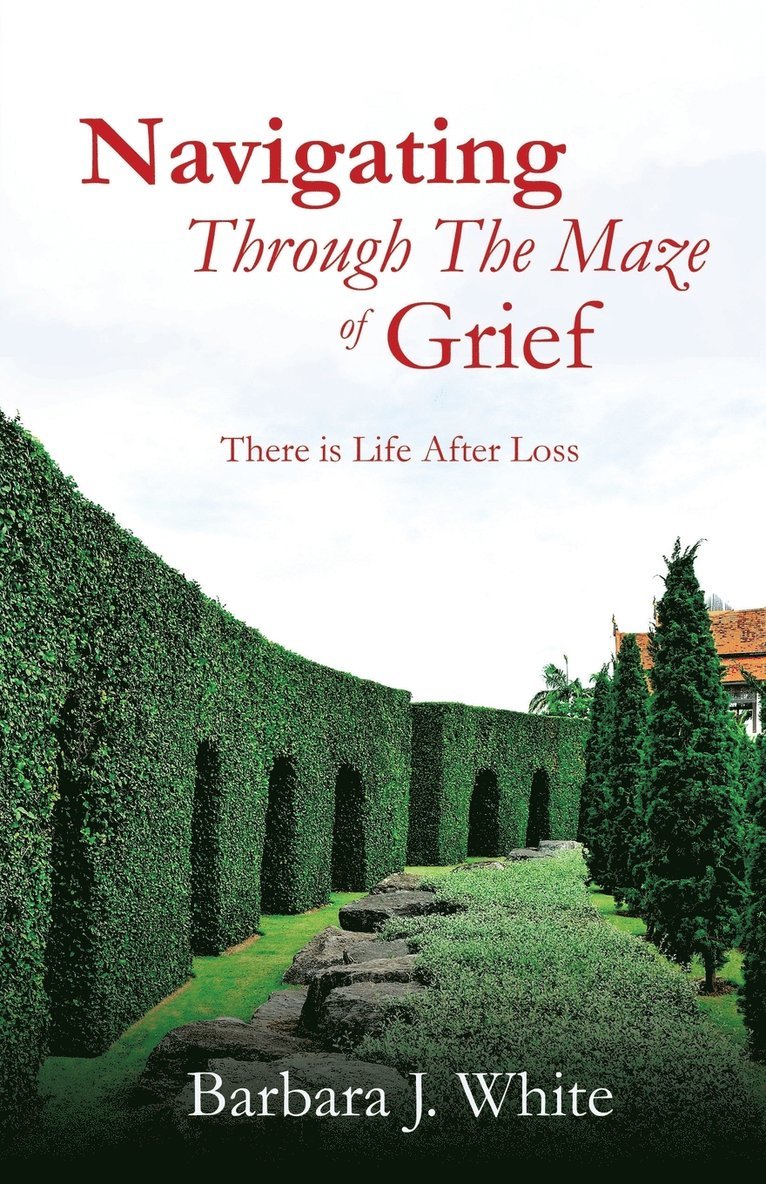 Navigating Through The Maze of Grief 1