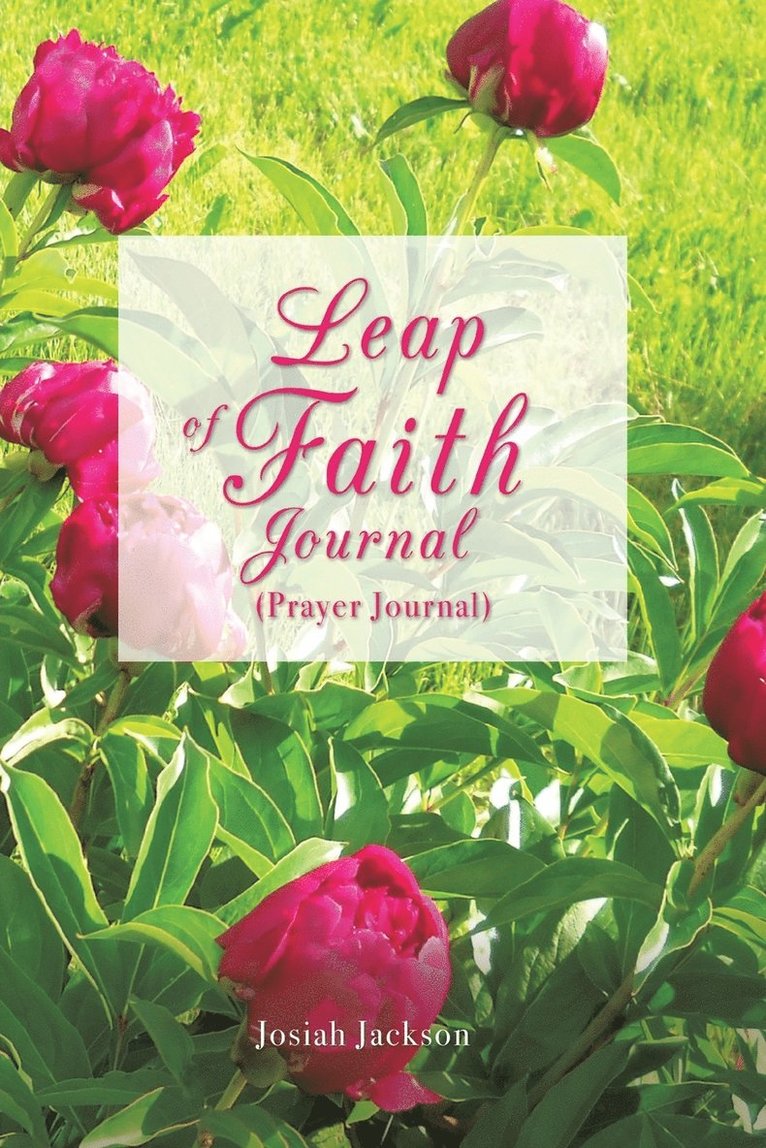 Leap of Faith Journal 1