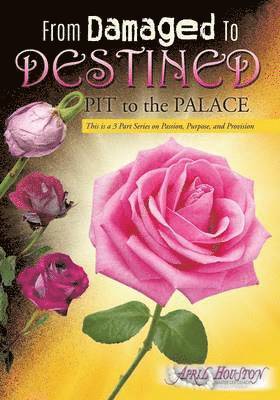 From Damaged To DESTINED 1