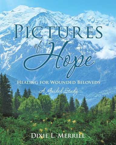 bokomslag Pictures of Hope