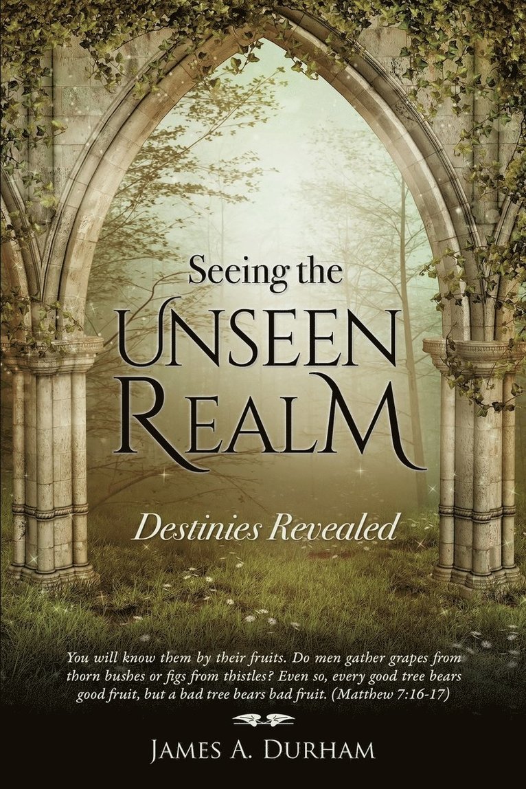 Seeing the Unseen Realm 1