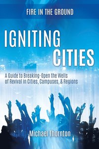 bokomslag Igniting Cities