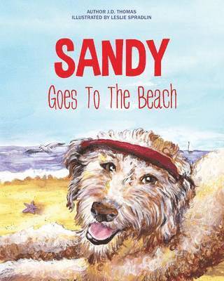 Sandy Goes To The Beach 1