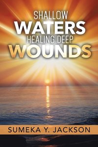 bokomslag Shallow Waters Healing Deep Wounds