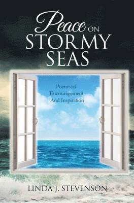 bokomslag Peace on Stormy Seas
