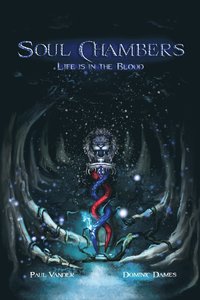 bokomslag Soul Chambers