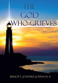 bokomslag The God Who Grieves