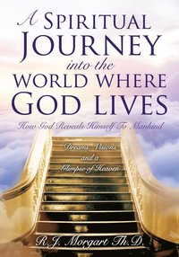 bokomslag A spiritual journey into the world where God lives