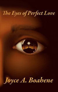 bokomslag Eyes of Perfect Love