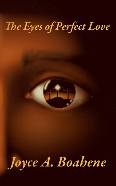 bokomslag Eyes of Perfect Love