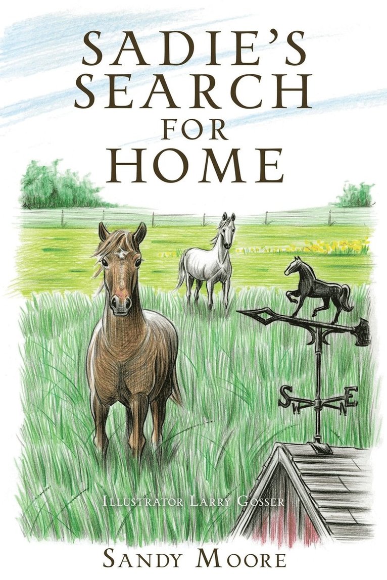 Sadie's Search for Home 1