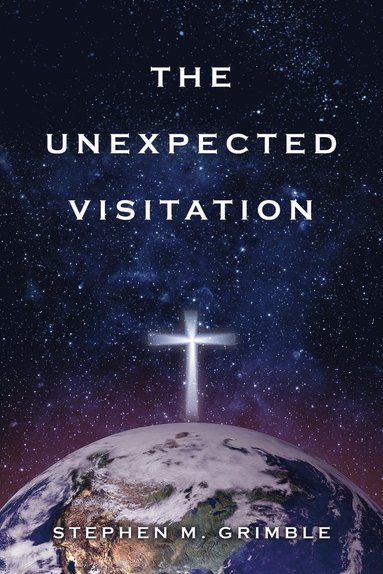 bokomslag Unexpected Visitation