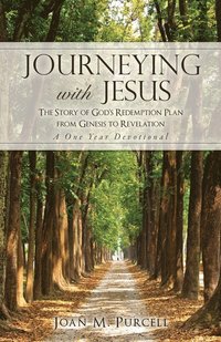 bokomslag Journeying With Jesus