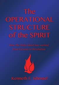 bokomslag The operational structure of the Spirit