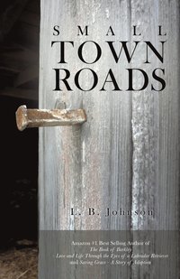 bokomslag Small Town Roads