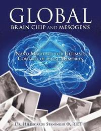 bokomslag Global Brain Chip and Mesogens
