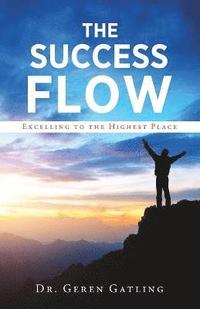 bokomslag Success Flow